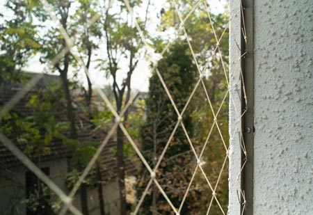 Malla Seguridad Gatos